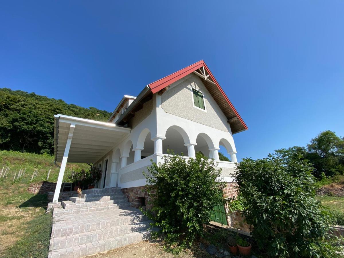 Chateau Segesdi Borapartman Gyulakeszi Exterior foto